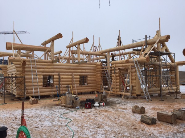 Temporary bracing is used to hold log columns and log purlins until the rest of the structural elements are scribed and fit into this unusual roof system.